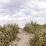 Wattnmeer Von Oben 48 5 N * Schillig