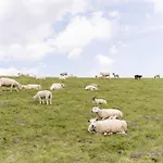 דירה Wattnmeer Von Oben 48 5 N *