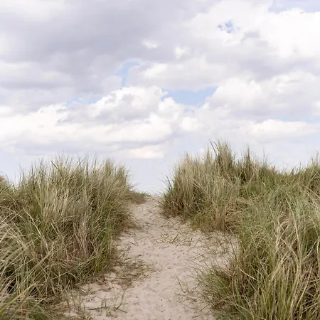 Wattnmeer Von Oben 48 5 N * Schillig