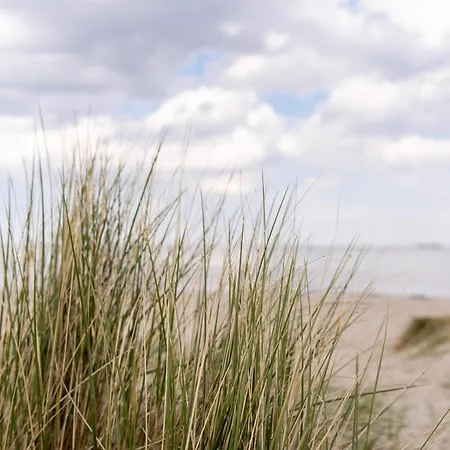 Wattnmeer Von Oben 48 5 N * シリヒ