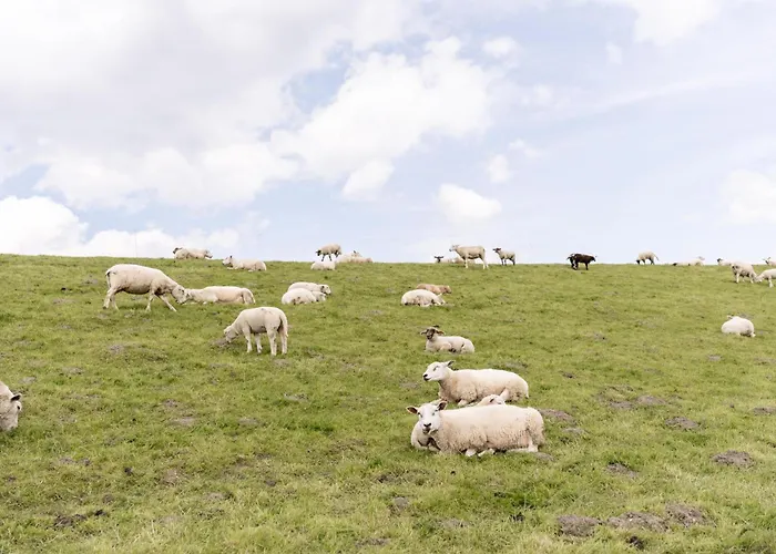 شقة Wattnmeer Von Oben 48 5 N *