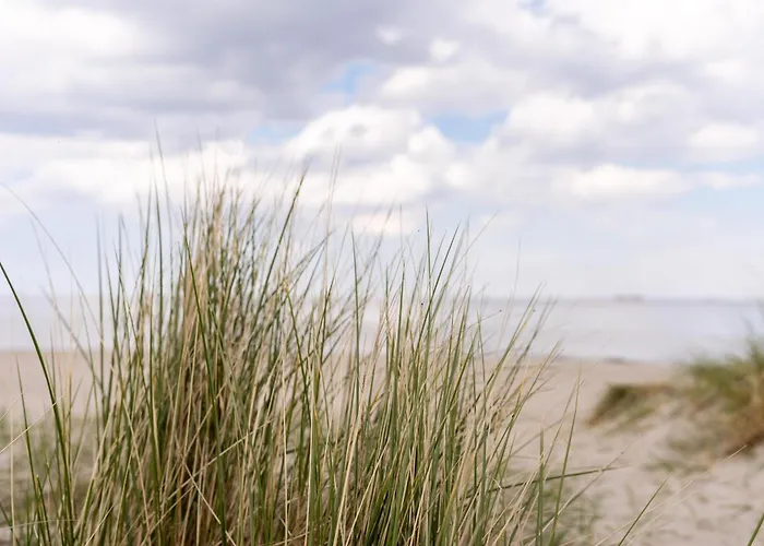 Wattnmeer Von Oben 48 5 N * شيلينغ